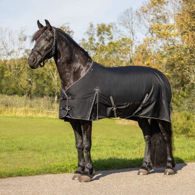 QHP XL Outdoor Rug