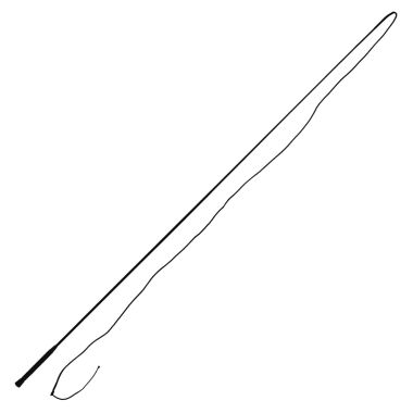 Equitare Lunging whip