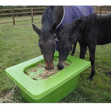 Hay Saver Slow Feeding box