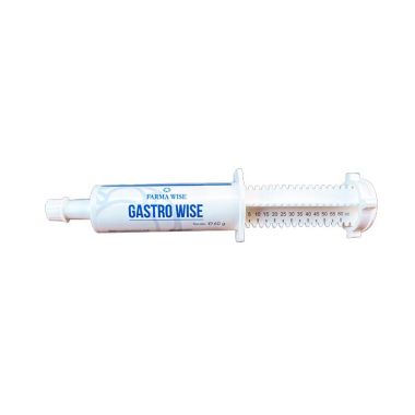 Gastro Wise 60 g  paste