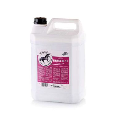 Black Horse Energy oil 5 l