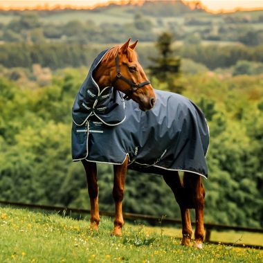 Horseware Amigo Ripstop 900D Plus 200g turnout rug