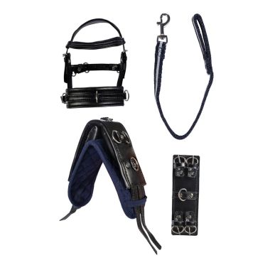 HKM Cuddle Pony Lunge set