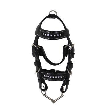 Mini bridles