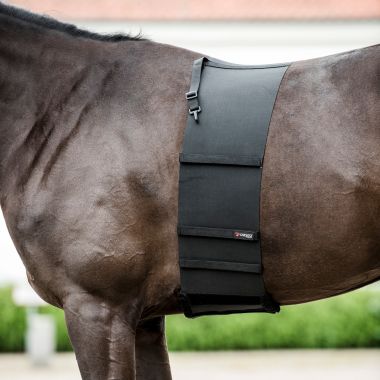 Catago Body Shield 