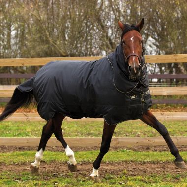 Horseware Trot Plus Heavy 350 g rug