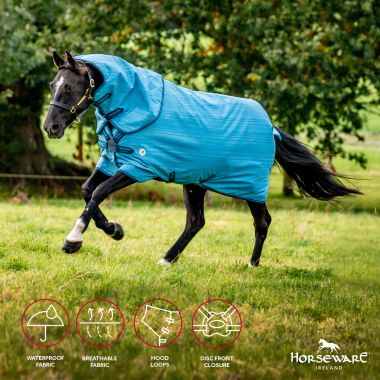 Horseware Amigo Hero 900 Revive Plus 200 g turnout rug