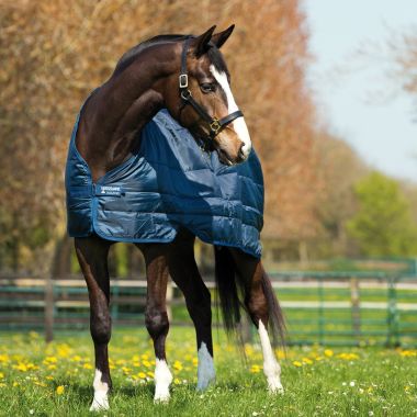 Horseware Liner 100g