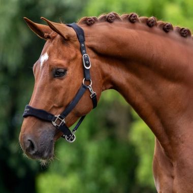 Equestrian Stockholm Anatomic Fleece Halter