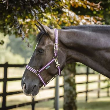 Bucas Dublin Nylon halter