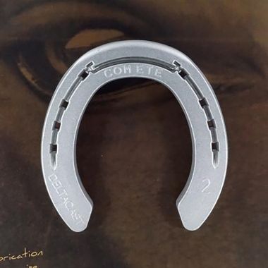 Deltacast Patent Aluminium hind shoe