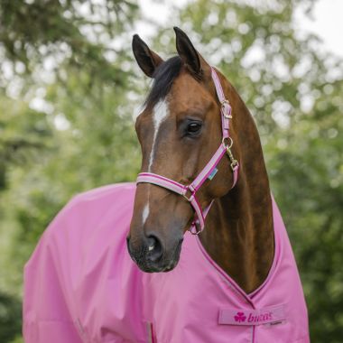Bucas Dublin Nylon halter