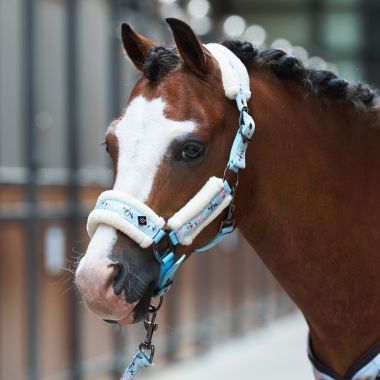 Imperial Riding Little Champion halter