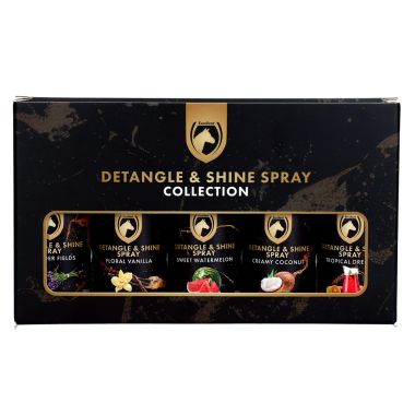 Excellent Detangle & Shine Spray Gift Set 