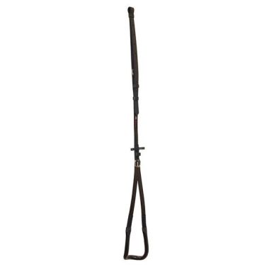 Walsh backstrap US-model synthetic