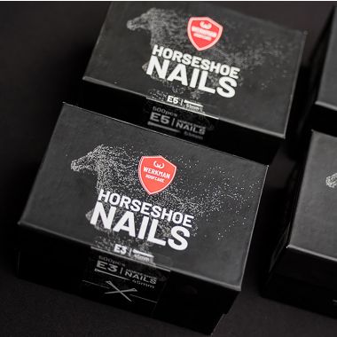 Werkman nails E4 250 pcs